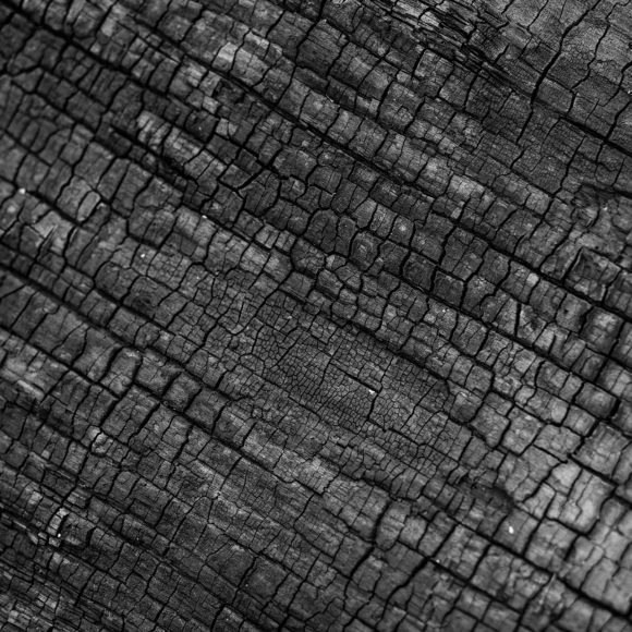 nature-2940770_1920 nature-2940770_1920
